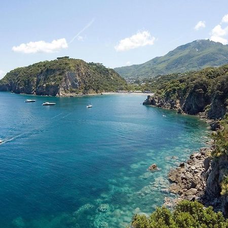 Pet Friendly Home In Ischia With Wifi Exterior foto