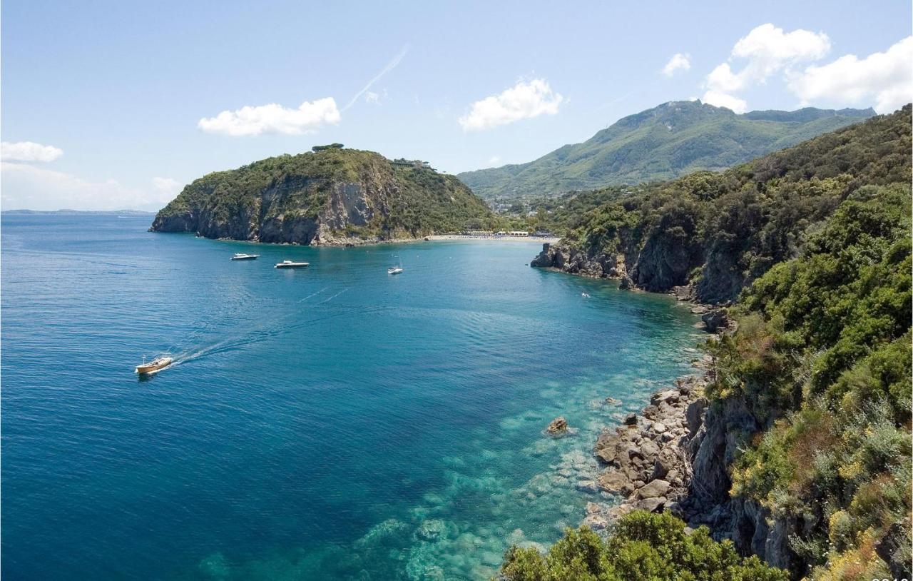Pet Friendly Home In Ischia With Wifi Exterior foto